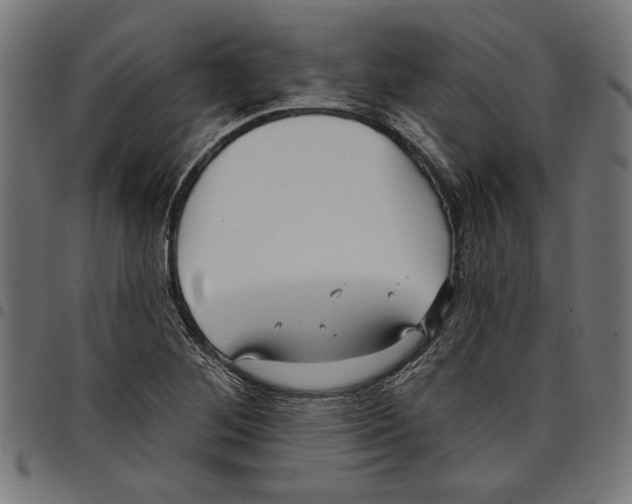 X0000097651268200803280921