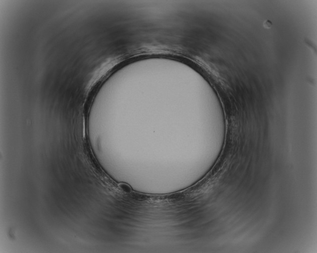 X0000097651269200803280921