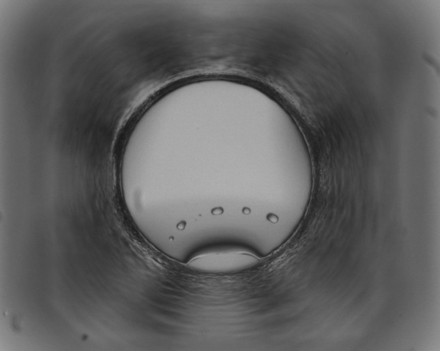 X0000097651270200803280921