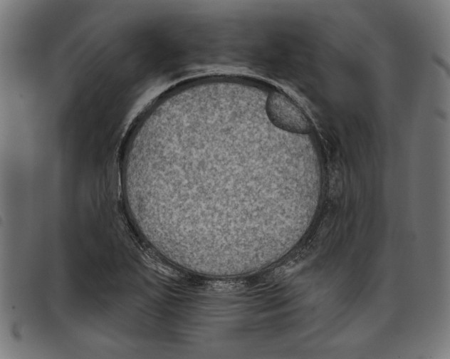 X0000097651271200803280921