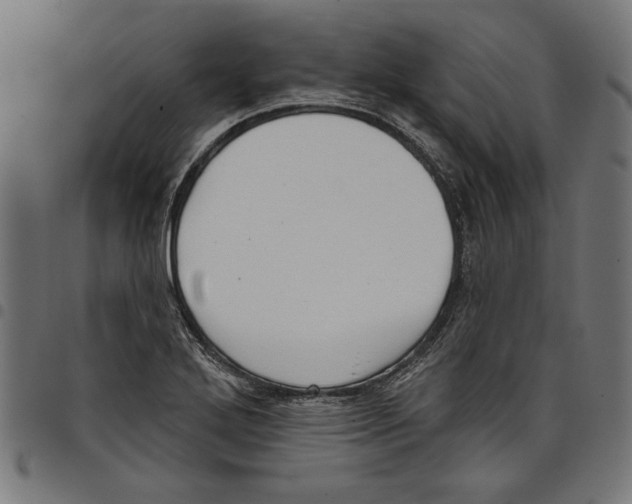 X0000097651272200803280921