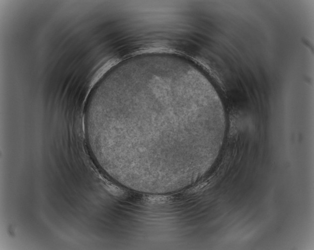 X0000097651274200803280921