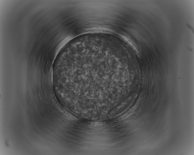 X0000097651275200803280921