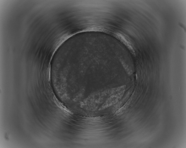 X0000097651276200803280921