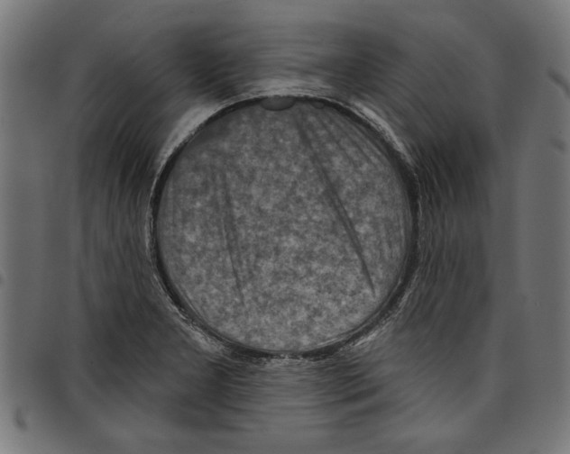 X0000097651277200803280921