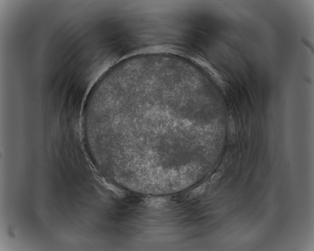 X0000097651278200803280921