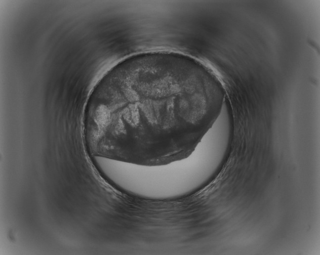 X0000097651279200803280921