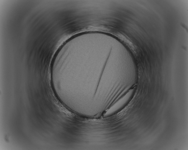 X0000097651280200803280921