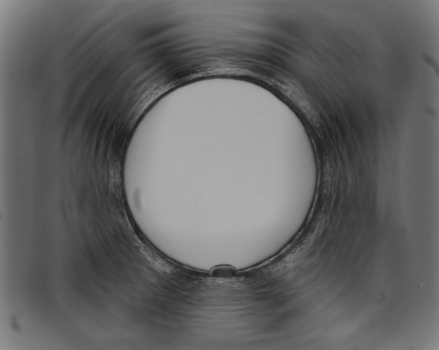 X0000097651281200803280921