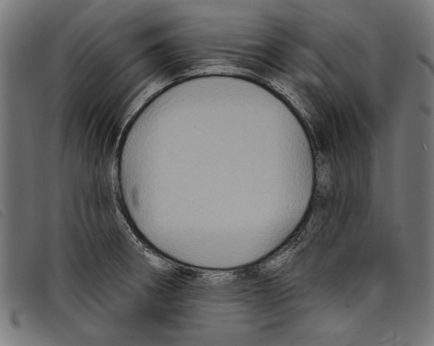 X0000097651282200803280921