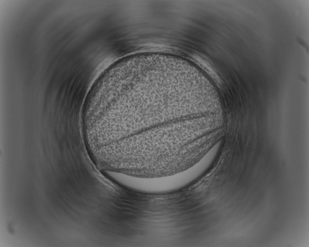 X0000097651283200803280921