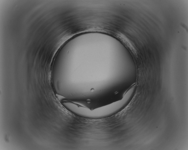 X0000097651284200803280921