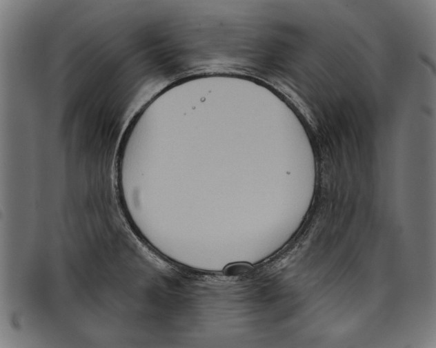 X0000097651285200803280921