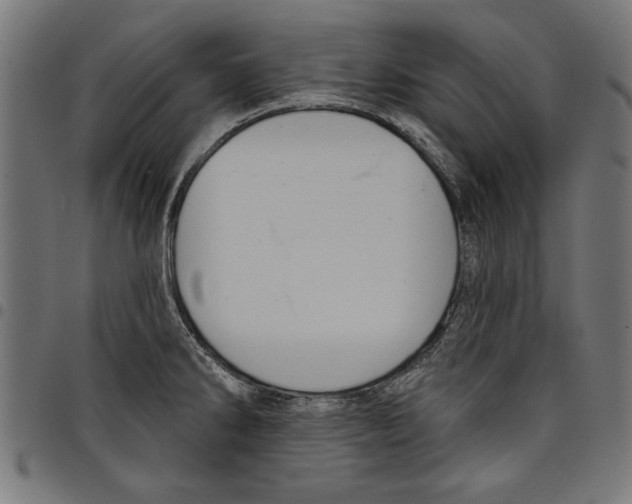 X0000097651286200803280921