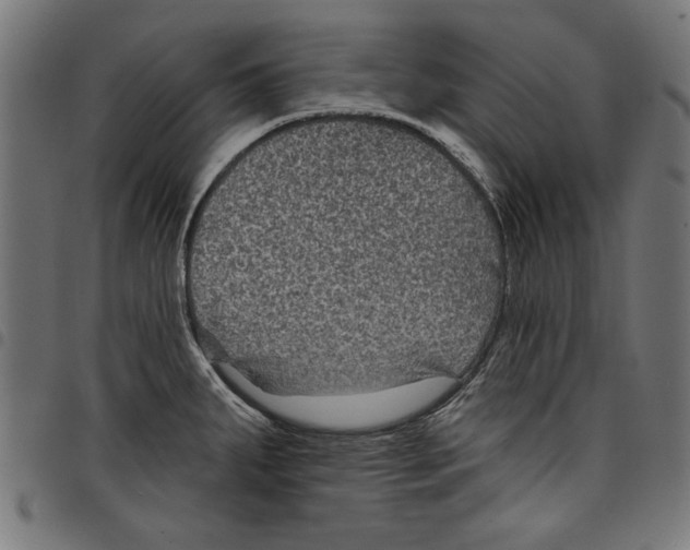 X0000097651287200803280920