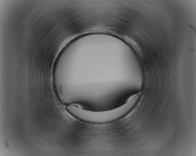 X0000097651288200803280920