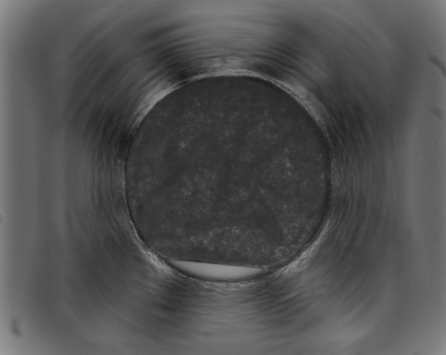 X0000097651289200803280920