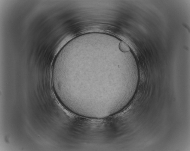 X0000097651290200803280920