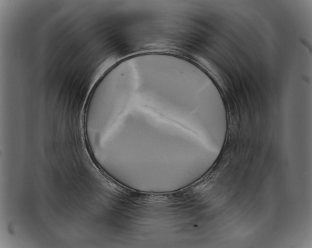 X0000097651291200803280920