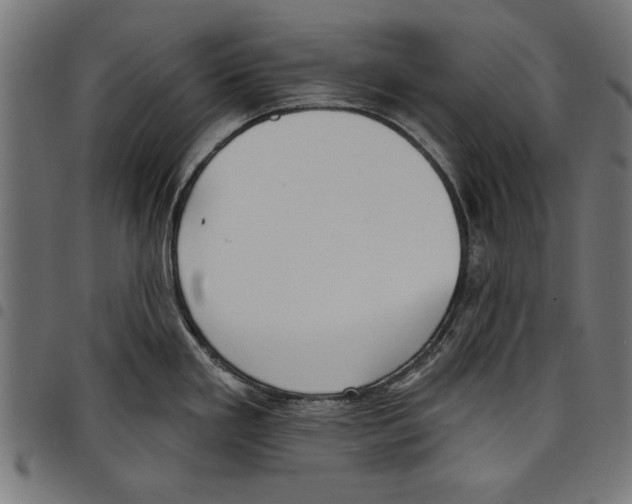 X0000097651293200803280920