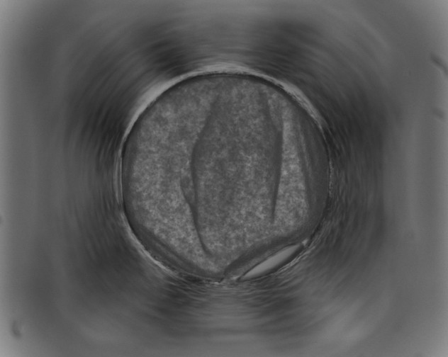 X0000097651295200803280920