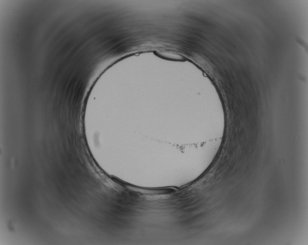 X0000097651296200803280920