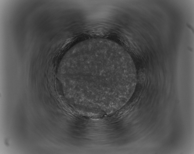 X0000097651297200803280920