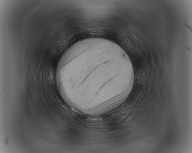 X0000097651298200803280920