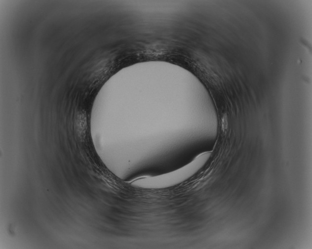 X0000097651299200803280920