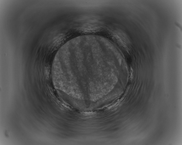 X0000097651300200803280920