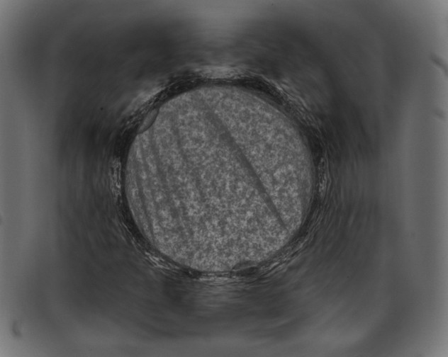 X0000097651301200803280920