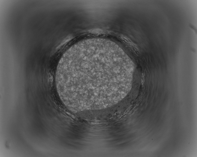 X0000097651302200803280920