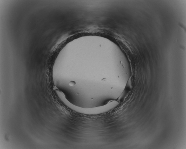 X0000097651304200803280920