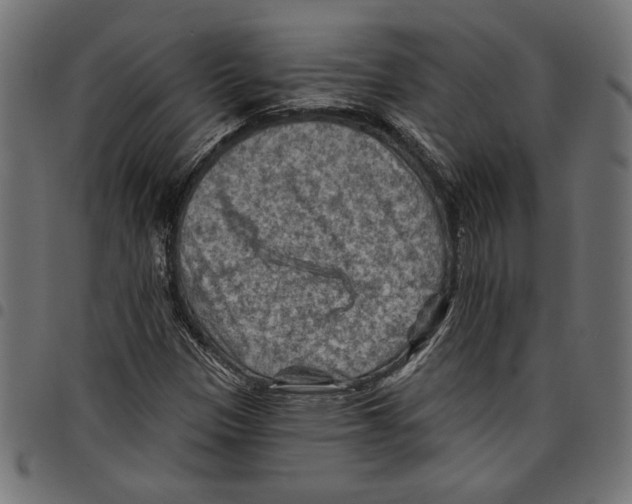 X0000097651305200803280920