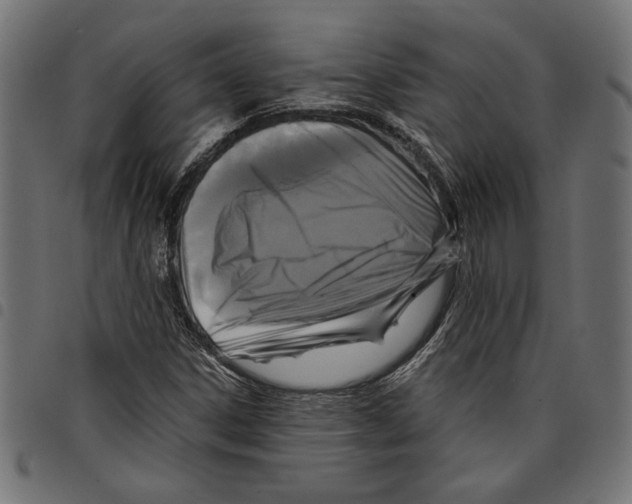 X0000097651306200803280920