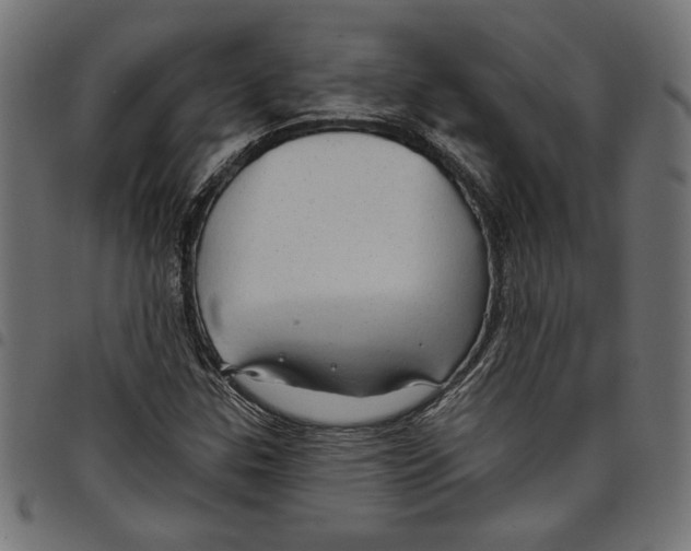 X0000097651307200803280920