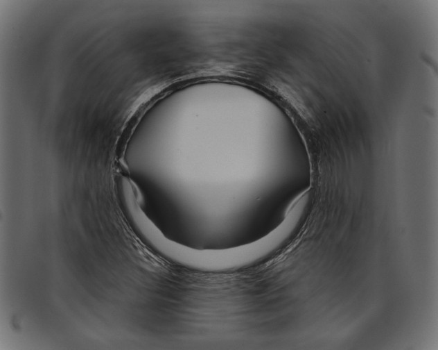 X0000097651308200803280920