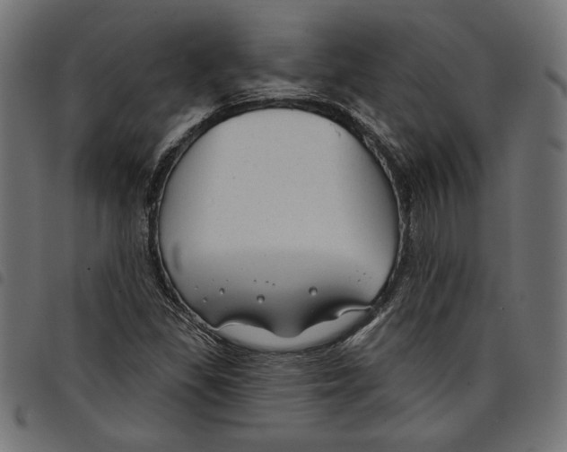 X0000097651309200803280920