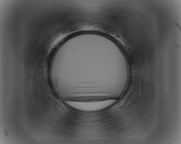 X0000097651311200803280920