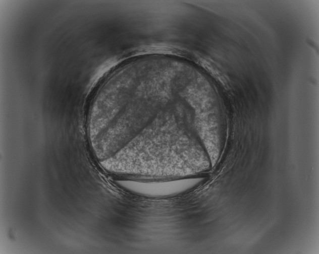 X0000097651312200803280920