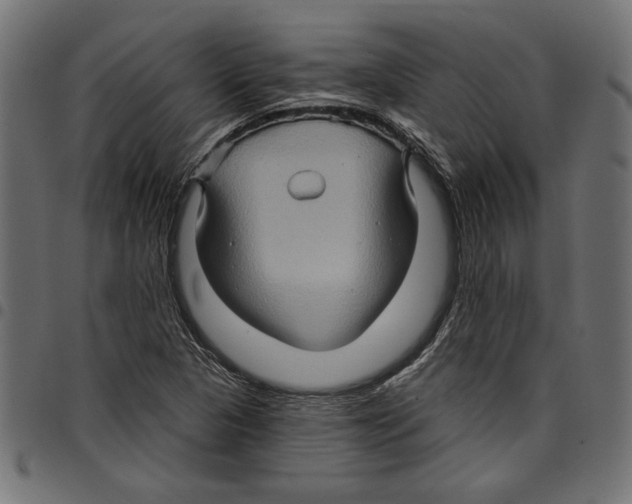 X0000097651313200803280920