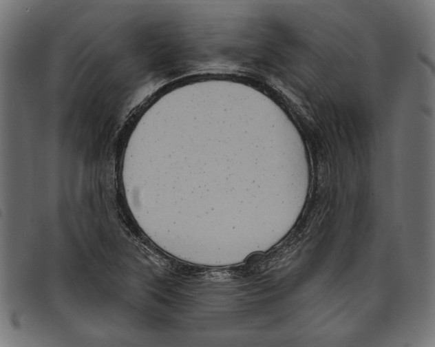 X0000097651315200803280920