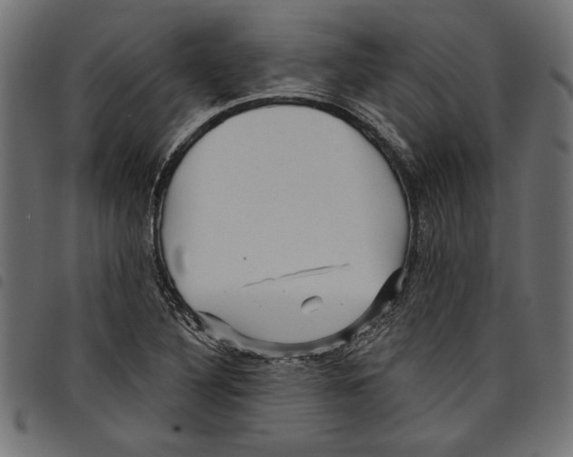 X0000097651316200803280920