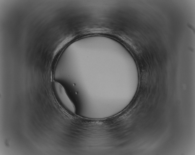 X0000097651317200803280920