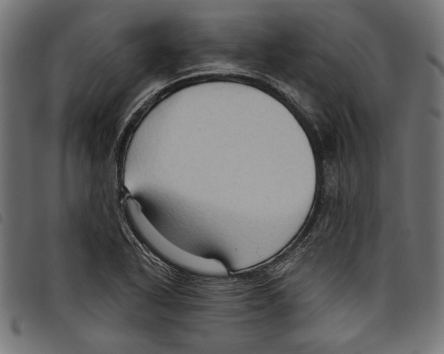 X0000097651318200803280920