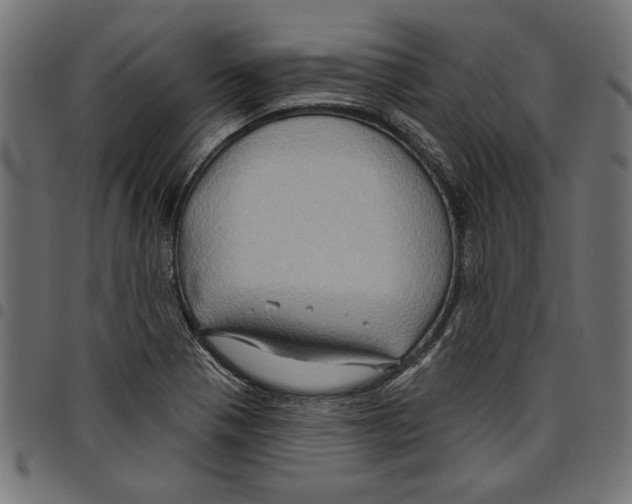 X0000097651321200803280920