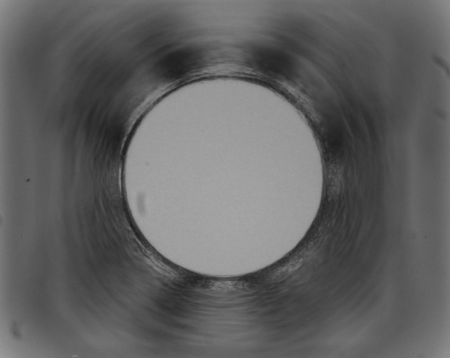 X0000097651322200803280920