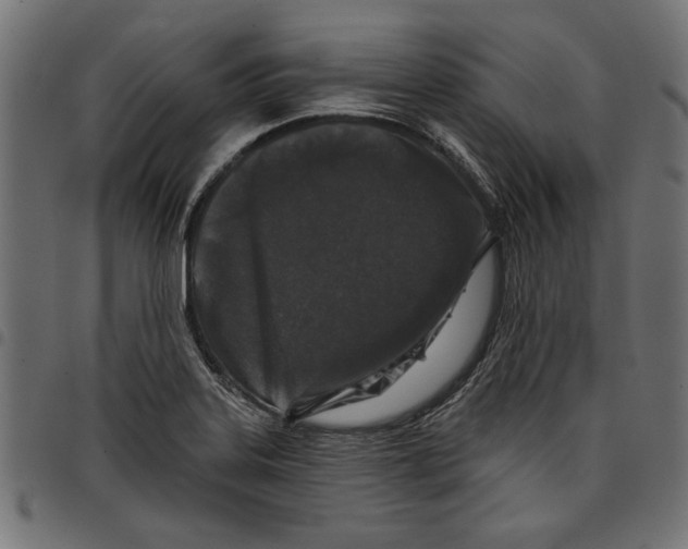 X0000097651323200803280920