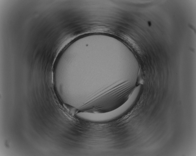 X0000097651324200803280920