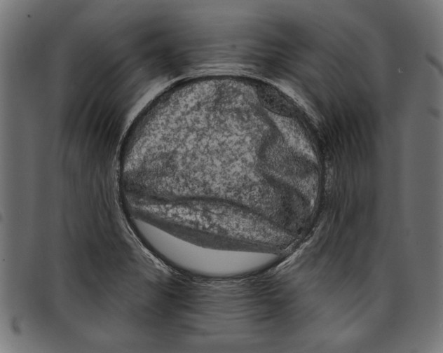 X0000097651325200803280920